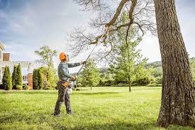 Best Weed Control  in Sarasota, FL