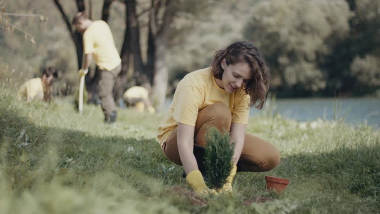 Best Lawn Maintenance Plans  in Sarasota, FL