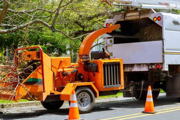 Best Seasonal Cleanup (Spring/Fall)  in Sarasota, FL