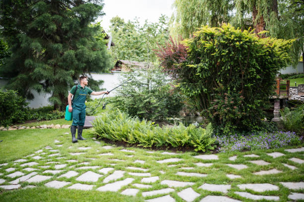 Best Artificial Turf Installation  in Sarasota, FL